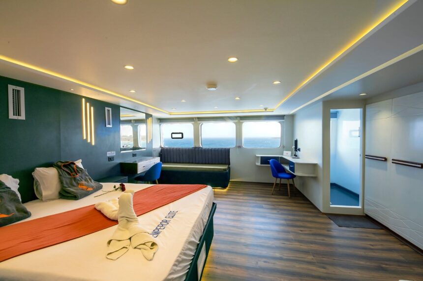 Cabin aboard the Emperor Elite with a double bed and folded towel animals