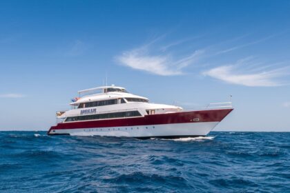 Emperor Elite liveaboard cruising the open sea under blue skies