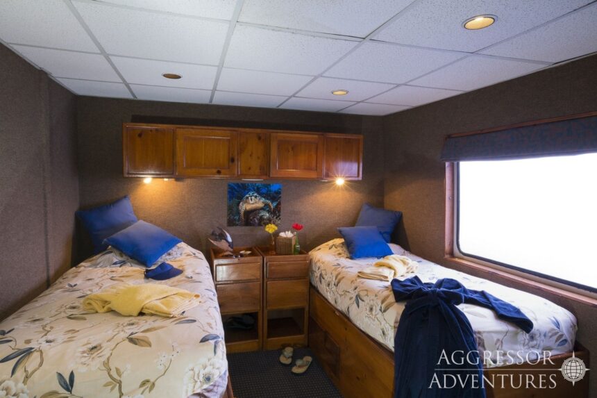 Twin bed cabin aboard the Belize Aggressor IV with floral bedding and wood cabinetry