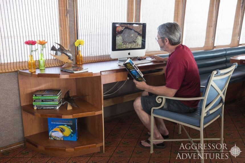Guest reviewing dive site notes at the computer desk aboard the Belize Aggressor IV