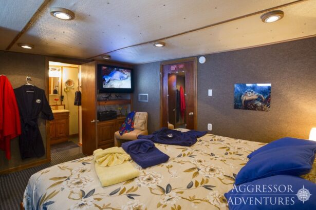 Master cabin aboard the Belize Aggressor IV with a turtle photo above the bed