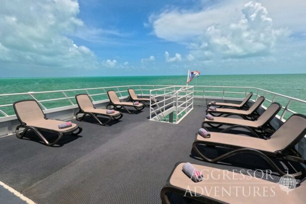 Empty lounge chairs with towels on the sun deck aboard the Belize Aggressor IV