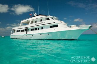 Belize Aggressor III liveaboard overview