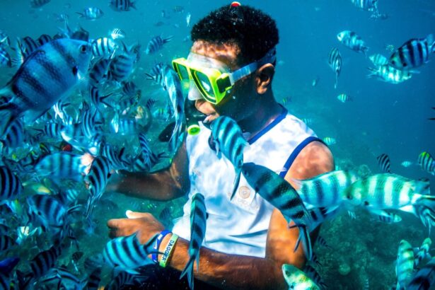 Snorkeler surrounded by a school of sergeant major fish in Fiji