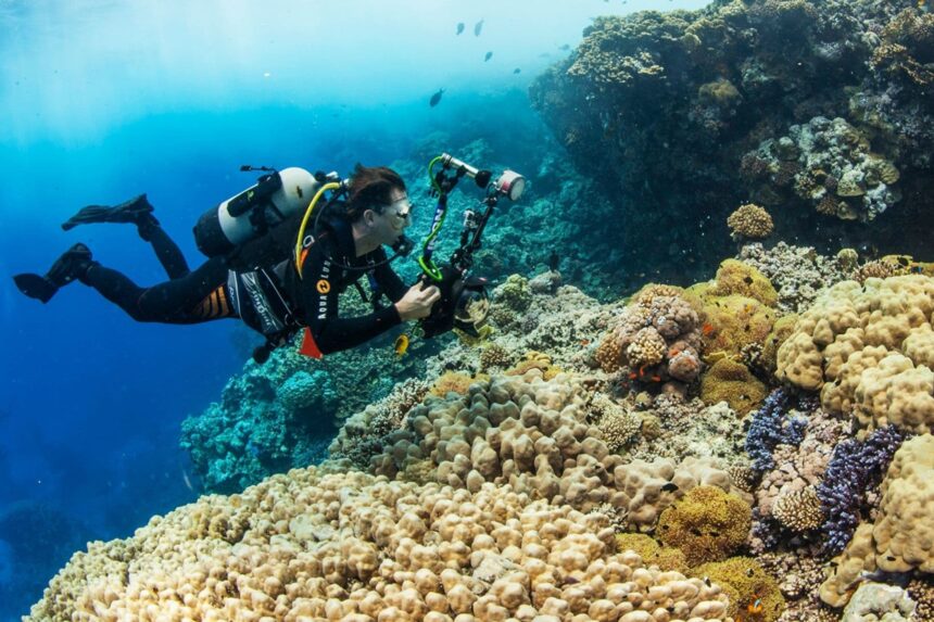 Diver photographing a colorful coral reef with an underwater camera rig