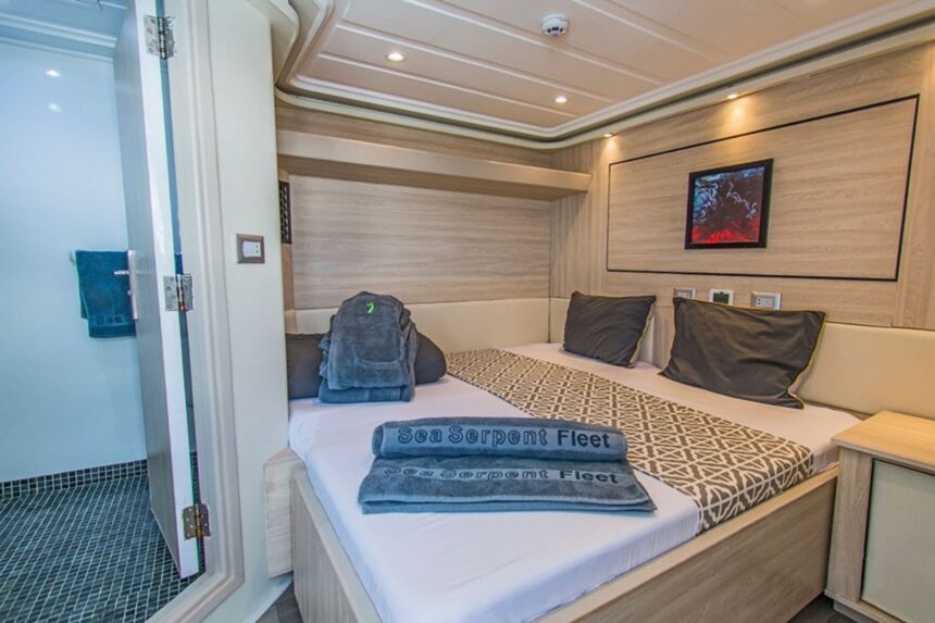 Cabin bed with folded towels beside an open ensuite bathroom door
