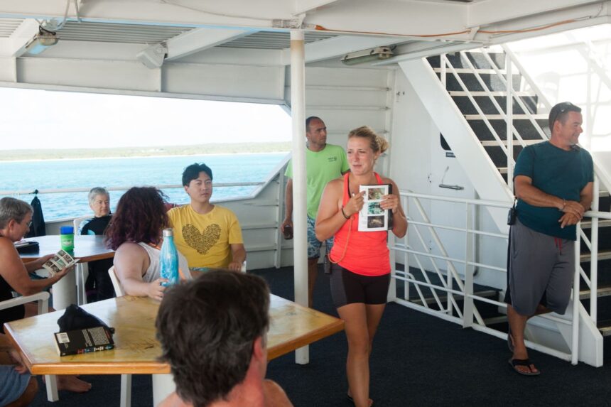 Guests gathering on the Aqua Cat's deck near the staircase before a dive briefing