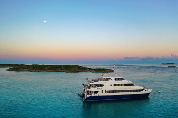 The Aqua Cat anchored near a green island at dusk with the moon overhead