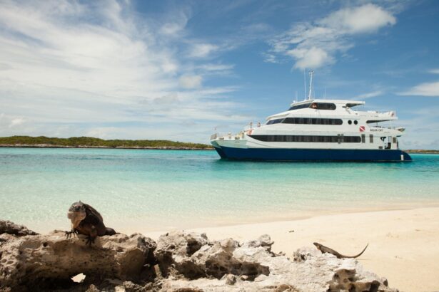 The Aqua Cat anchored in turquoise water beyond a beach with an iguana on the rocks