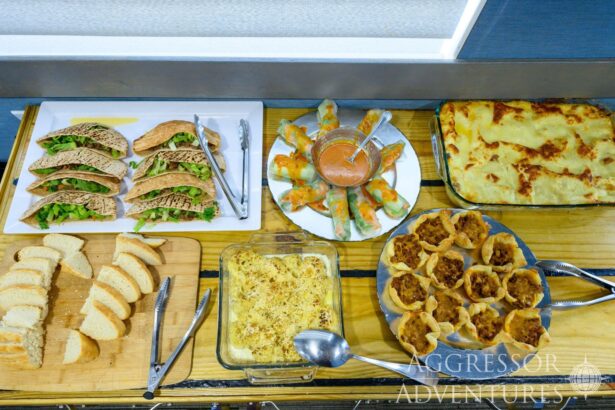 A buffet of sandwiches, spring rolls, lasagna, and pastries laid out on deck
