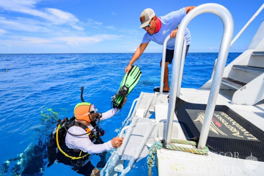 A crew member handing a diver their fins from the boat's ladder