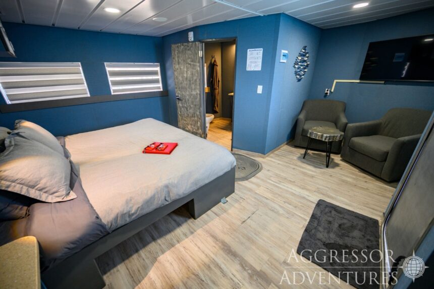 Blue-toned stateroom aboard the Cayman Aggressor IV with a large bed and lounge chairs