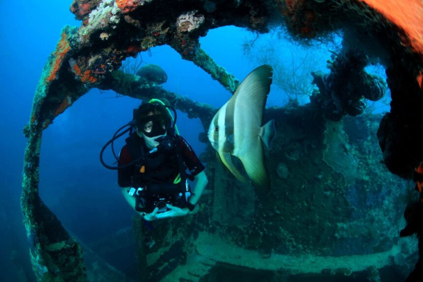diver photographing a batfish inside a shipwreck