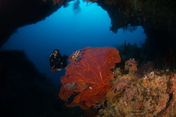 diver next to a vivid red sea fan inside a cavern