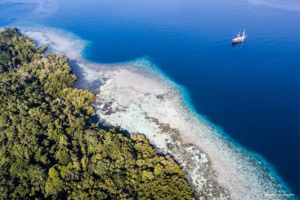 Aerial view of a reef edge and a traditional phinisi anchored near Raja Ampat