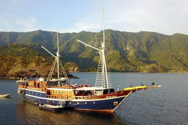 The Aurora liveaboard anchored near green hills at sunset with its black sails furled