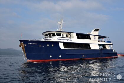 Raja Ampat Aggressor liveaboard dive yacht anchored in calm coastal water