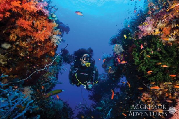 A diver swims through a coral canyon with colorful reef fish on both sides