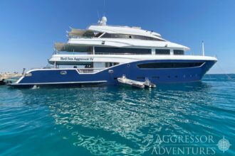 Red Sea Aggressor IV liveaboard overview