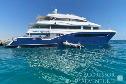 Red Sea Aggressor IV liveaboard dive yacht with tender boats moored alongside