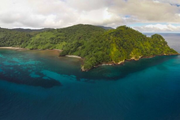 Panoramic view of a forested island and reef near Cocos Island