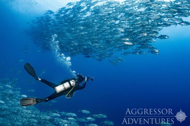 Diver swimming beside a large school of jacks off Cocos Island