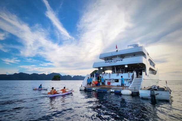 Guests boarding the Gaia Love from kayaks at sunset