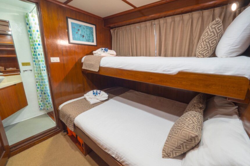 Bunk cabin on the Mermaid II with twin beds and an en-suite bathroom