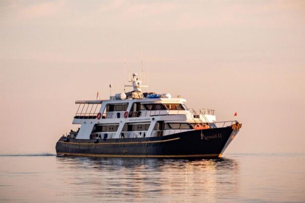 Mermaid II liveaboard cruising at sunset with calm pink water
