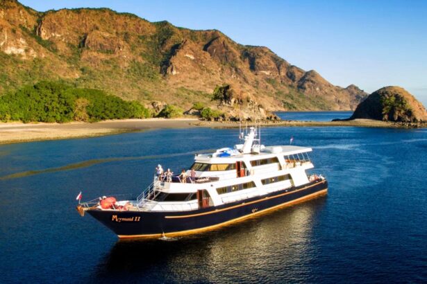 Aerial view of the Mermaid II anchored near steep green hills and a sandy bay