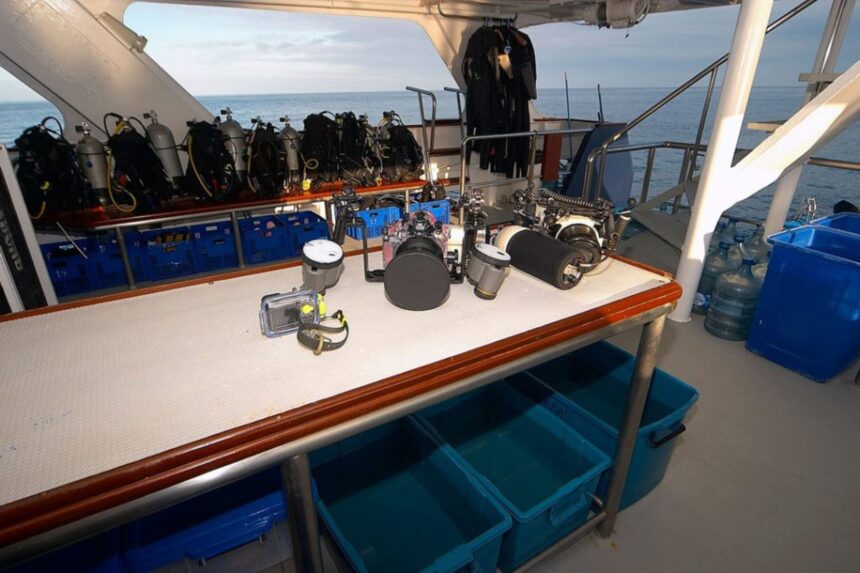 Camera and dive gear laid out on a preparation table aboard the Mermaid I