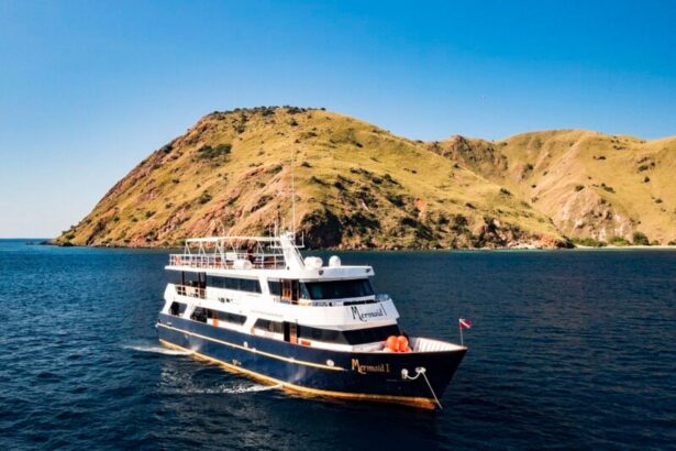 Mermaid I liveaboard cruising past a dry hillside island under clear skies