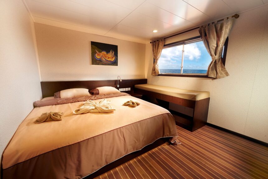 Cabin bed with folded towels and ocean view window aboard the Blue Manta