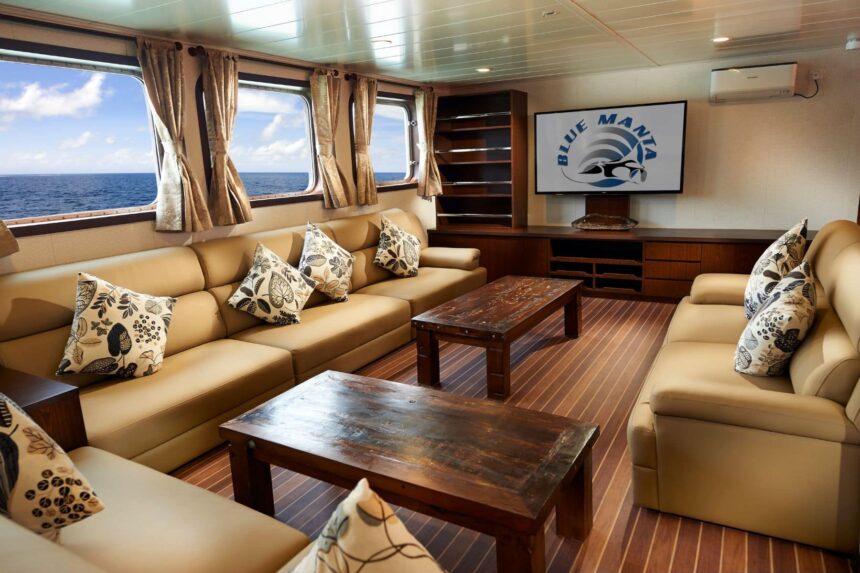 Lounge with leather sofas and TV displaying the Blue Manta logo