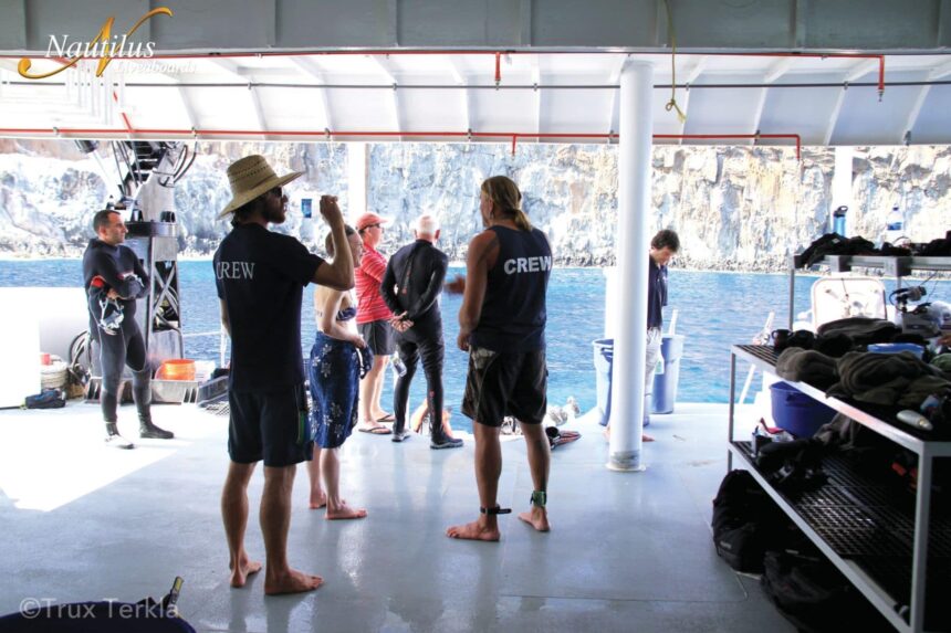 Crew members in Nautilus shirts assisting guests suiting up for a dive on the swim deck