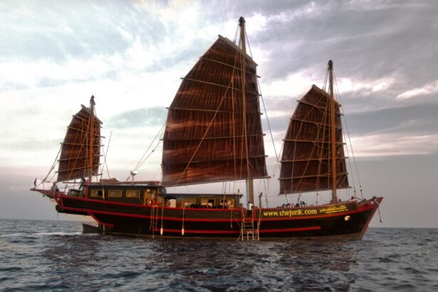 Side view of The Junk sailing with its dark sails up