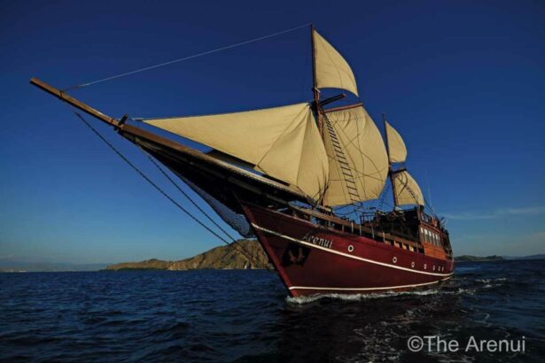 The Arenui liveaboard under full sail on open water