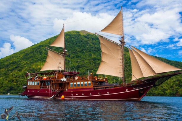 The Arenui liveaboard anchored near a green hillside under full sail
