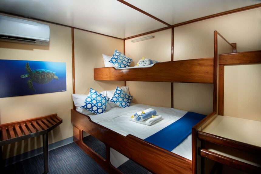 Bunk cabin aboard the Pacific Master with a sea turtle painting on the wall