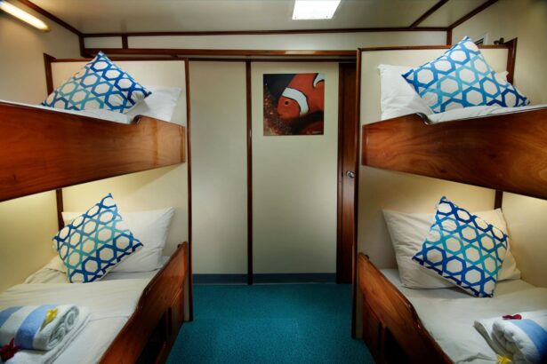 Twin bunk beds aboard the Pacific Master with a clownfish painting between them