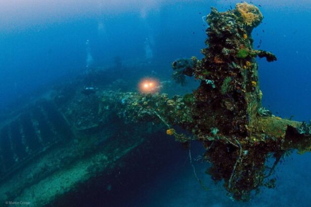 Diver's light illuminating a coral-encrusted mast on a Truk Lagoon wreck