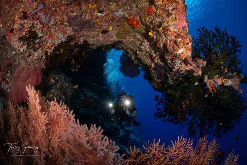 Diver swimming through a coral archway lit by dive torches