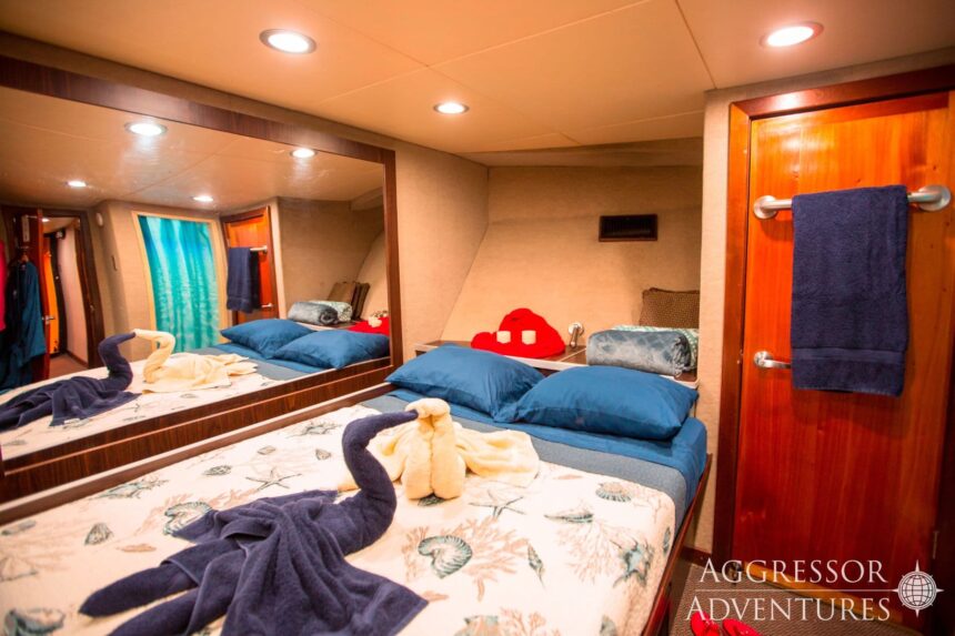 Aggressor cabin bed with a mirror, folded towels and blue bedding