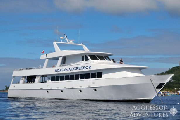 The Roatan Aggressor liveaboard cruising near the coastline