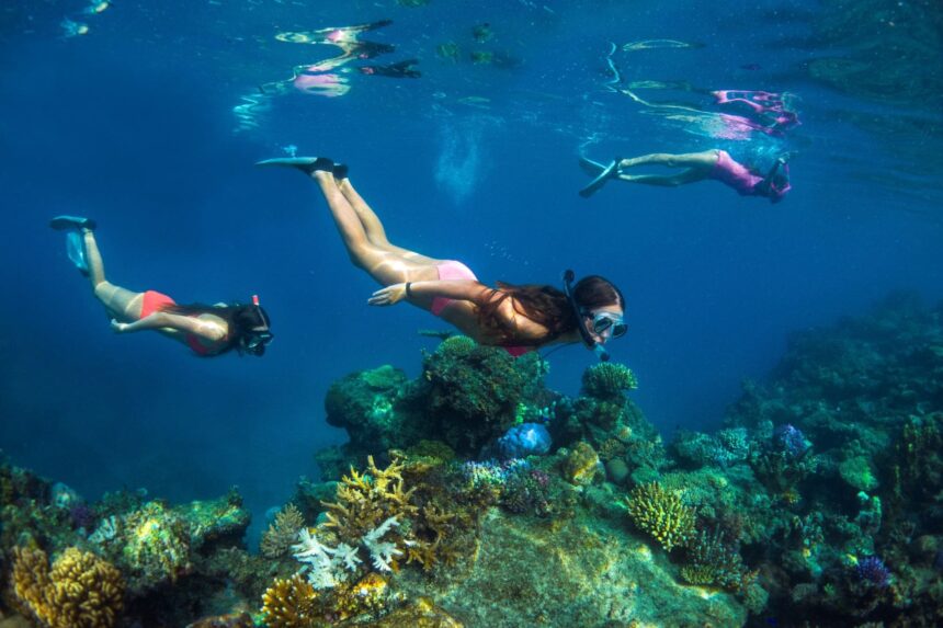 Snorkelers swimming above a coral reef near the surface