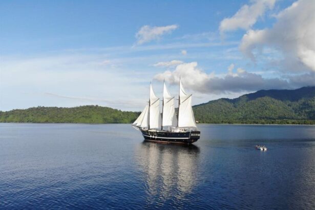 The Dewi Nusantara under full sail on open water near green coastline