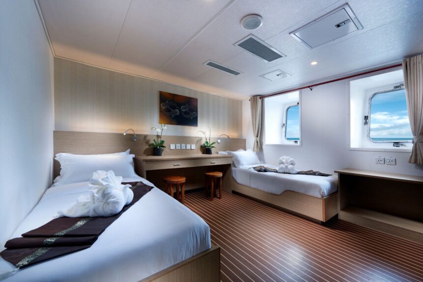 Twin cabin on the White Manta with a reef photo above the beds and ocean-view windows