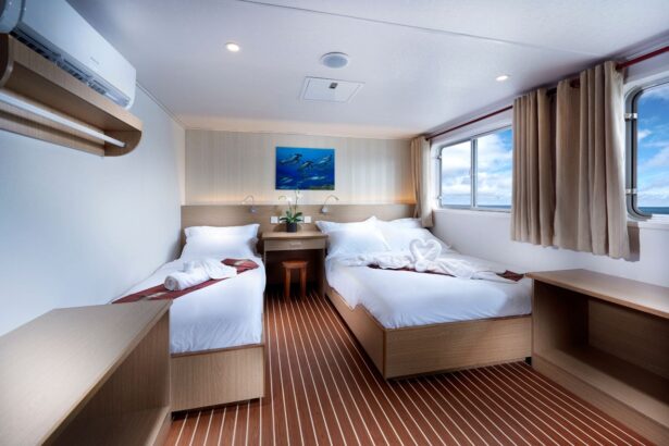 Twin bed cabin on the White Manta with a marine life painting above the headboard