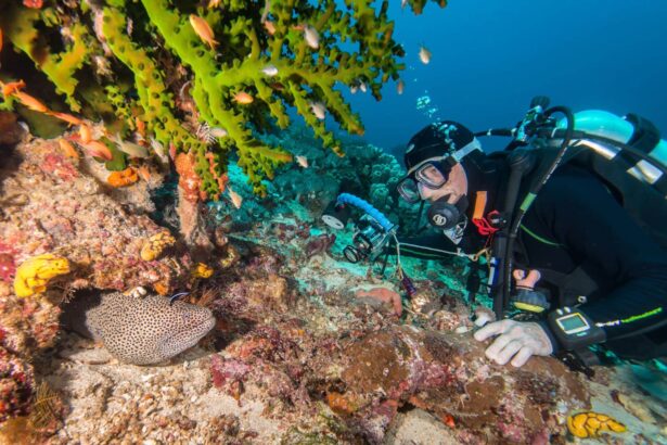 DIVEIN tester checking a camera rig beside a moray eel hiding under soft coral