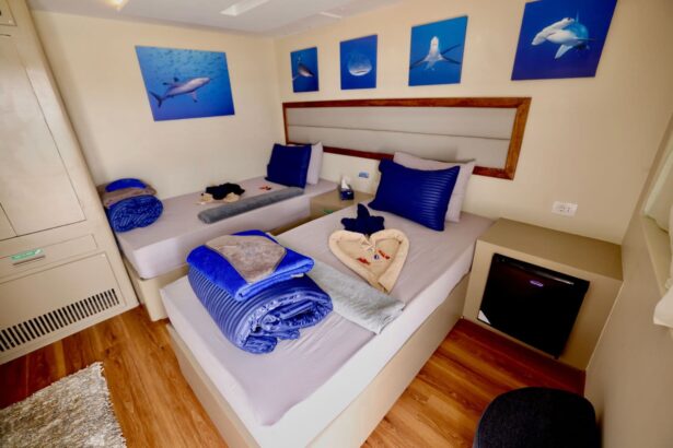 twin cabin decorated with shark photography above the beds